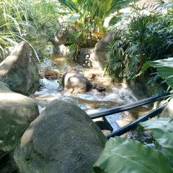 Perdana Botanical Gardens - Kuala Lumpur
