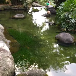 Perdana Botanical Gardens - Kuala Lumpur
