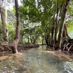 Bukit Ayer Recreational Forest - Kuala Perlis
