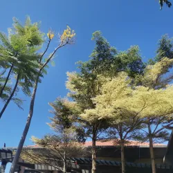 Kuala Perlis Cultural Village - Kuala Perlis