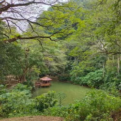 Perlis State Park - Kuala Perlis