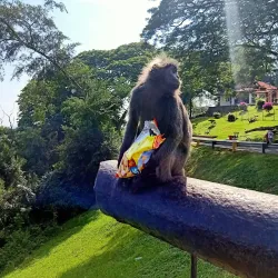 Altingsburg Lighthouse - Kuala Selangor