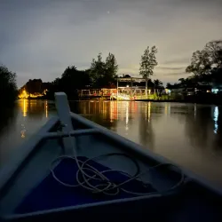 Kuala Selangor Firefly Park - Kuala Selangor