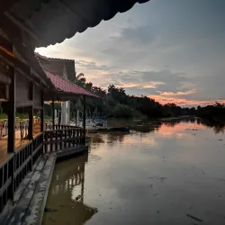 Kuala Selangor Firefly Park - Kuala Selangor
