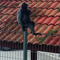 Kuala Selangor Historical Museum - Kuala Selangor