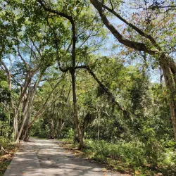 Kuala Selangor Nature Park - Kuala Selangor