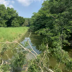 Kuala Selangor Nature Park - Kuala Selangor