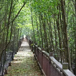 Kuala Selangor Wetlands Park - Kuala Selangor