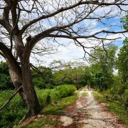 Kuala Selangor Wetlands Park - Kuala Selangor