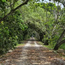 Kuala Selangor Wetlands Park - Kuala Selangor