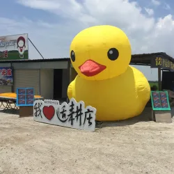 Sekinchan Paddy Fields - Kuala Selangor