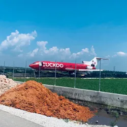 Sekinchan Paddy Fields - Kuala Selangor