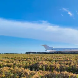 Sekinchan Paddy Fields - Kuala Selangor