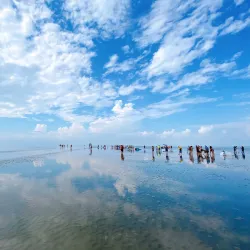 Sky Mirror Kuala Selangor - Kuala Selangor
