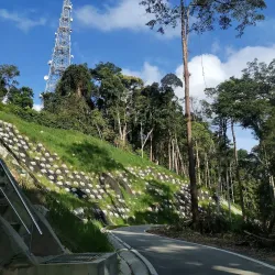 Bukit Pelindung Recreational Forest - Kuantan