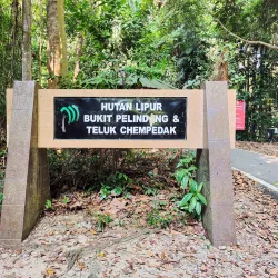 Bukit Pelindung Recreational Forest - Kuantan