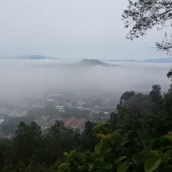 Bukit Pelindung Recreational Forest - Kuantan