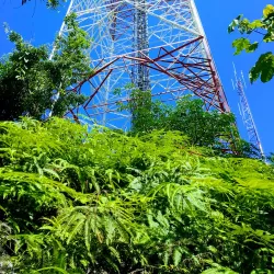 Bukit Pelindung Recreational Forest - Kuantan