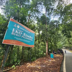 Bukit Pelindung Recreational Forest - Kuantan