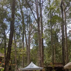 Sungai Pandan Waterfall - Kuantan