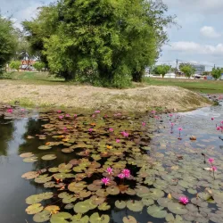 Taman Gelora - Kuantan