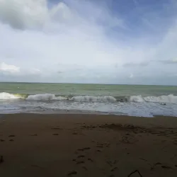 Teluk Chempedak Turtle Sanctuary - Kuantan