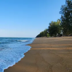 Teluk Chempedak Turtle Sanctuary - Kuantan