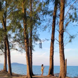 Teluk Chempedak Turtle Sanctuary - Kuantan