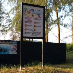 Teluk Chempedak Turtle Sanctuary - Kuantan