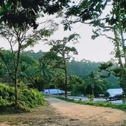 Gunung Pulai Recreational Forest - Kulai