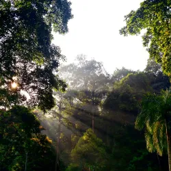 Gunung Pulai Recreational Forest - Kulai