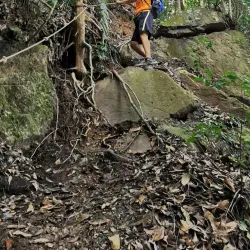 Gunung Pulai Recreational Forest - Kulai