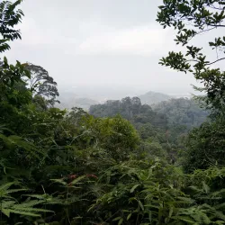 Gunung Pulai Recreational Forest - Kulai
