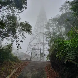 Kulai River Walk - Kulai