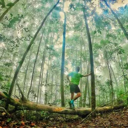 Kulai River Walk - Kulai