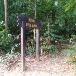 Kulai River Walk - Kulai