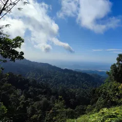 Kulai River Walk - Kulai