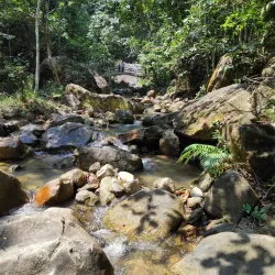 Kulai River Walk - Kulai