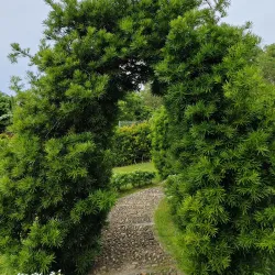 Chimney Museum - Labuan