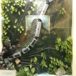 Chimney Museum - Labuan