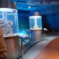 Labuan Marine Park - Labuan