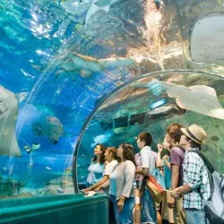 Underwater World Langkawi - Langkawi