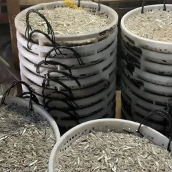 Pangkor Island Fish Market - Lumut