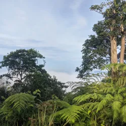 Gunung Angsi - Mantin