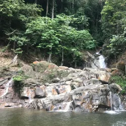 Jelebu Forest Reserve - Mantin