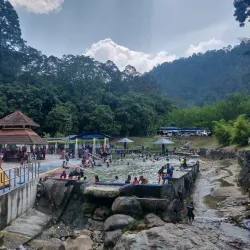 Jelebu Forest Reserve - Mantin