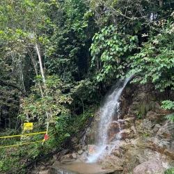 Jelebu Forest Reserve - Mantin