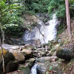 Jelebu Forest Reserve - Mantin