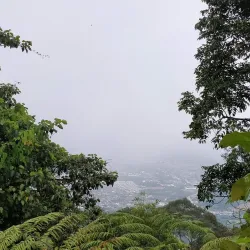 Jelebu Forest Reserve - Mantin