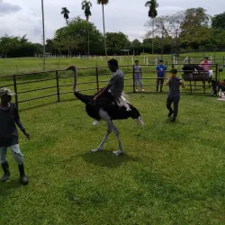 Jelita Ostrich Farm - Mantin
